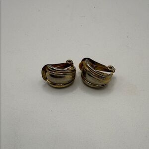 Chic Two-Tone Women's Earrings